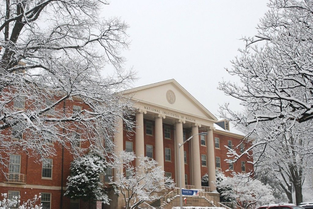 national institute of health, bethesda, maryland